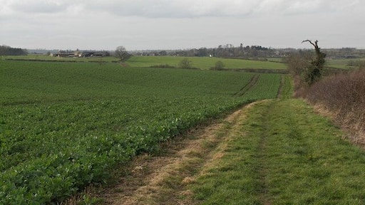 The Bridleway to Arthingworth.