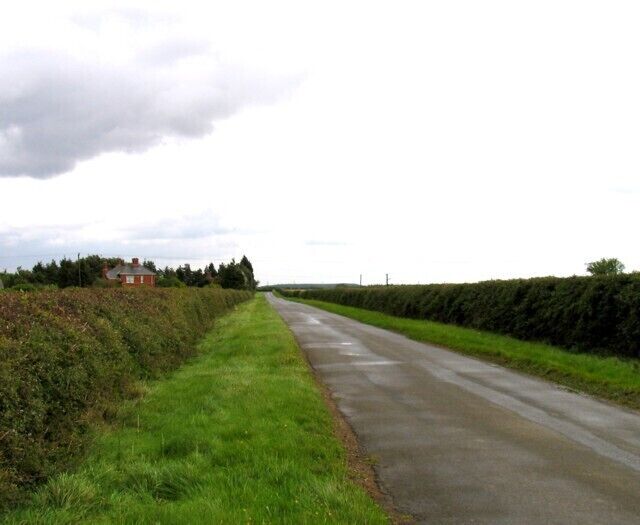 Heath Lane eastwards The Pines is to the left.