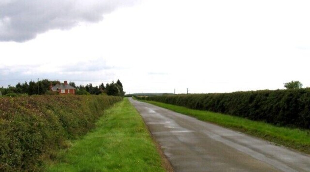 Heath Lane eastwards The Pines is to the left.