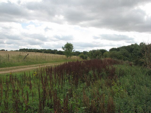 Former ironstone quarry and railway I am standing on the edge of the overgrown trackbed of the railway which led from the headquarters of the Harlaxton quarry railway system north of Gorse Lane into the largest and last of the Harlaxton quarries, No 4 (Hungerton). The plantation ahead and the restored fields to the left were, until 14 February 1974, a deep quarry which covered about half of this gridsquare. See other photos nearby for more on the Harlaxton railways and quarries.
