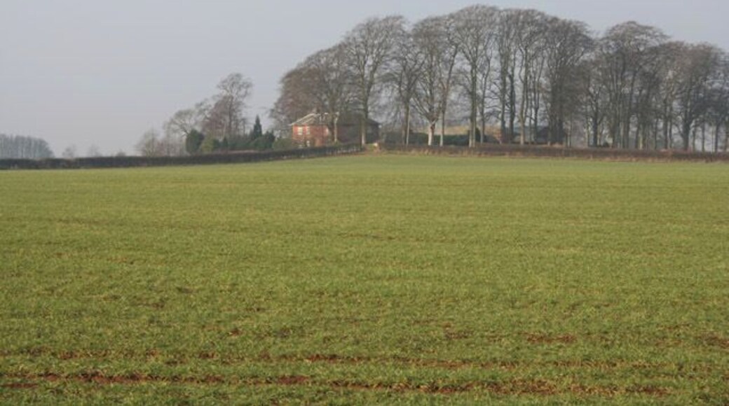 Farmland near Grantham. Wealdmore Lodge Farm is the only building in this square. It sits at the top of Swine Hill.