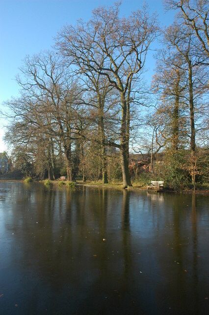 A calm river with leafless trees and a bench along the bank.
