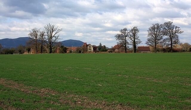 A green field with trees and houses in the background.