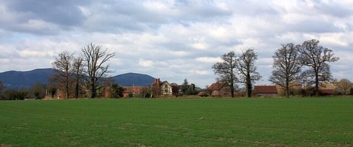 A green field with trees and houses in the background.