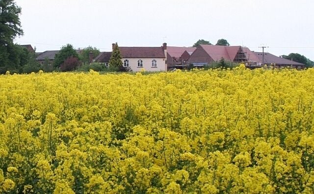 Rape Field, Hanley Castle Looking towards the buildings of Hanley Castle School from the footpath from Hanley church to the castle site.