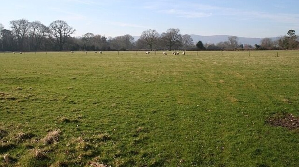 Sheep Pasture near Hanley Hall Taken from the start of the driveway to the hall. Looking out towards the Malvern Hills.