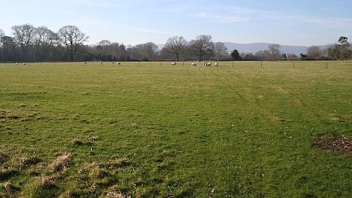 Sheep Pasture near Hanley Hall Taken from the start of the driveway to the hall. Looking out towards the Malvern Hills.