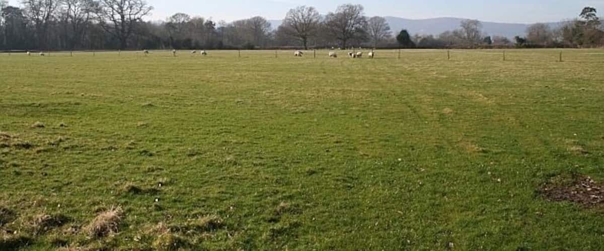 A wide, open grassy field with scattered trees and a distant mountain range.