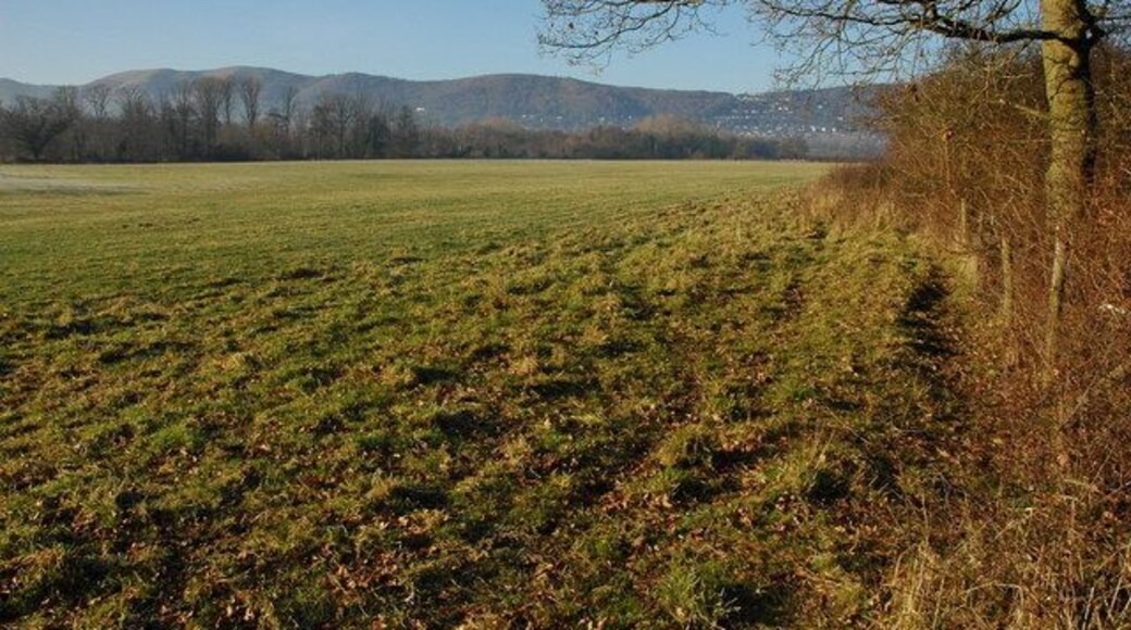 Large field near Blackmore Park Large field to the west of Blackmore Park, the Malvern Hills fill the horizon.