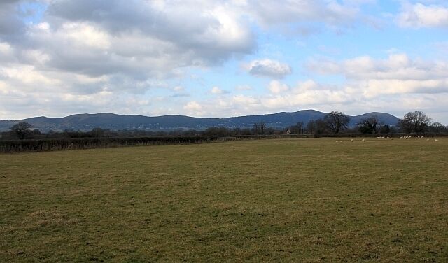 Sheep Pasture near Lodge Farm With a lovely view of the Malvern Hills in the distance.