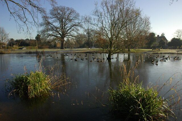 Pond in Hanley Swan Ducks in the unfrozen centre of Hanley Swans village pond.