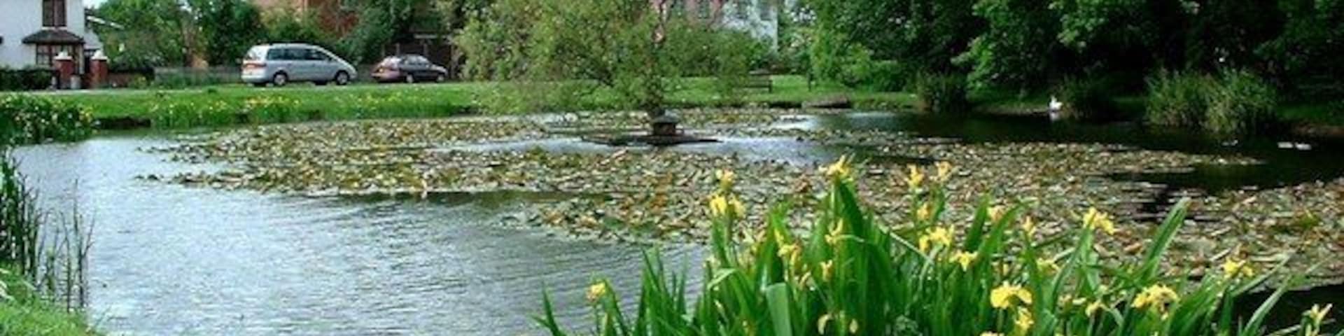 Village pond at Hanley Swan A stretch of water with ducks and water plants makes a delightful centrepiece to this charming village.