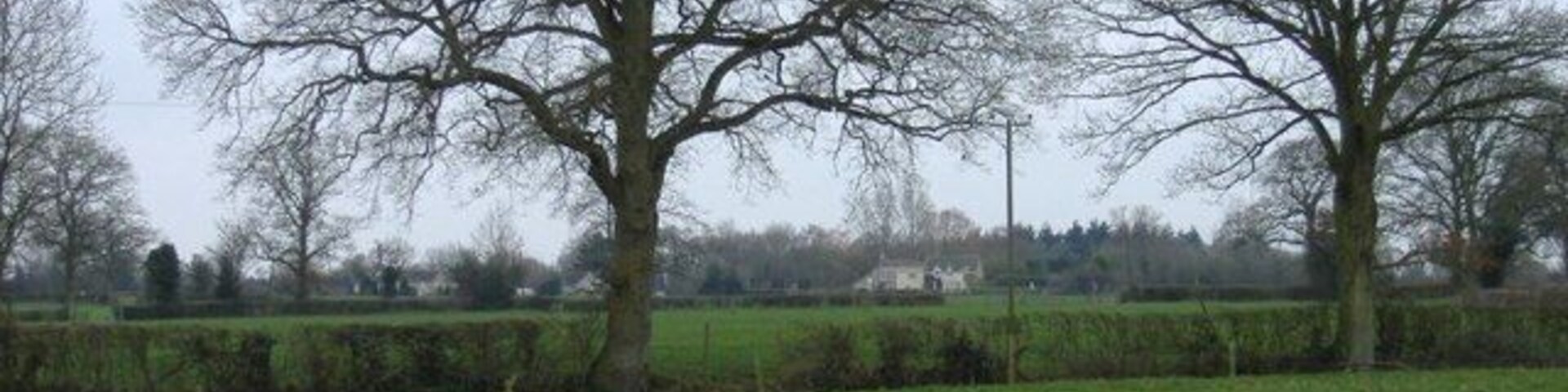 Bullock's Horn farm Glimpsed across the fields, from Cloatley.