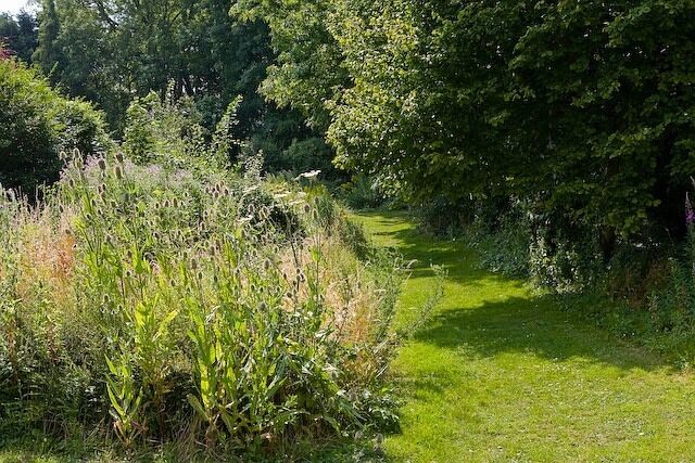 Wayfarer's Walk begins to climb the hill from Green Lane, Hambledon