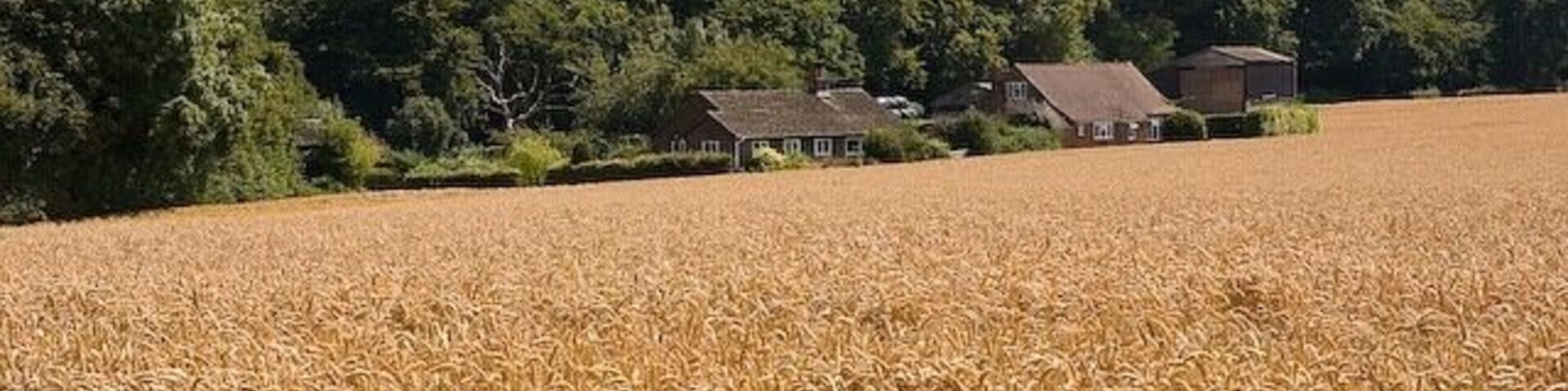 The Timbers and Glebelands, Menslands Lane Left to right: The Timbers, Glebelands, Glebeland Farm.