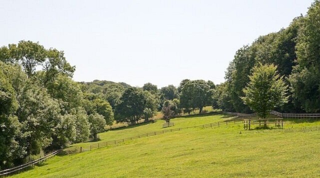Field and hillside east of Boarhuts Copse Seen from one footpath, with another running along the fence at left.