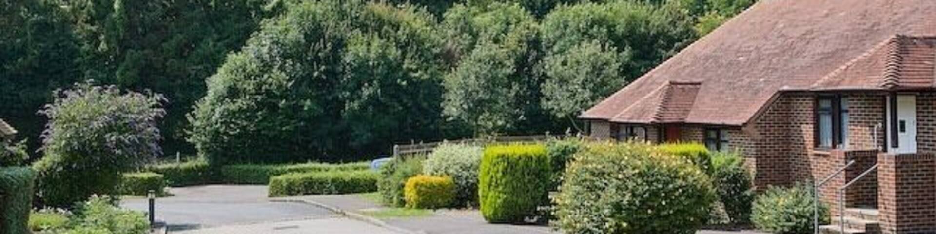 Lashly Meadow, Hambledon Looking from within this residential cul de sac back towards Green Lane.