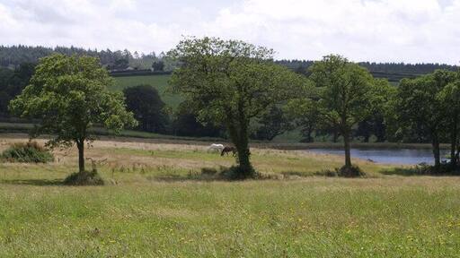 Near Rectory Seen through a line of trees along a field boundary, a newly-created lake in a field south of Halwill. The valley drains west (right) into the nearby River Carey.