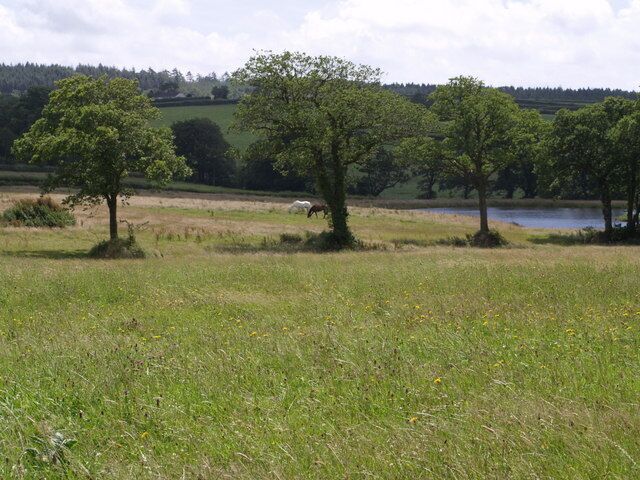 A grassy field with trees and a body of water in the background.