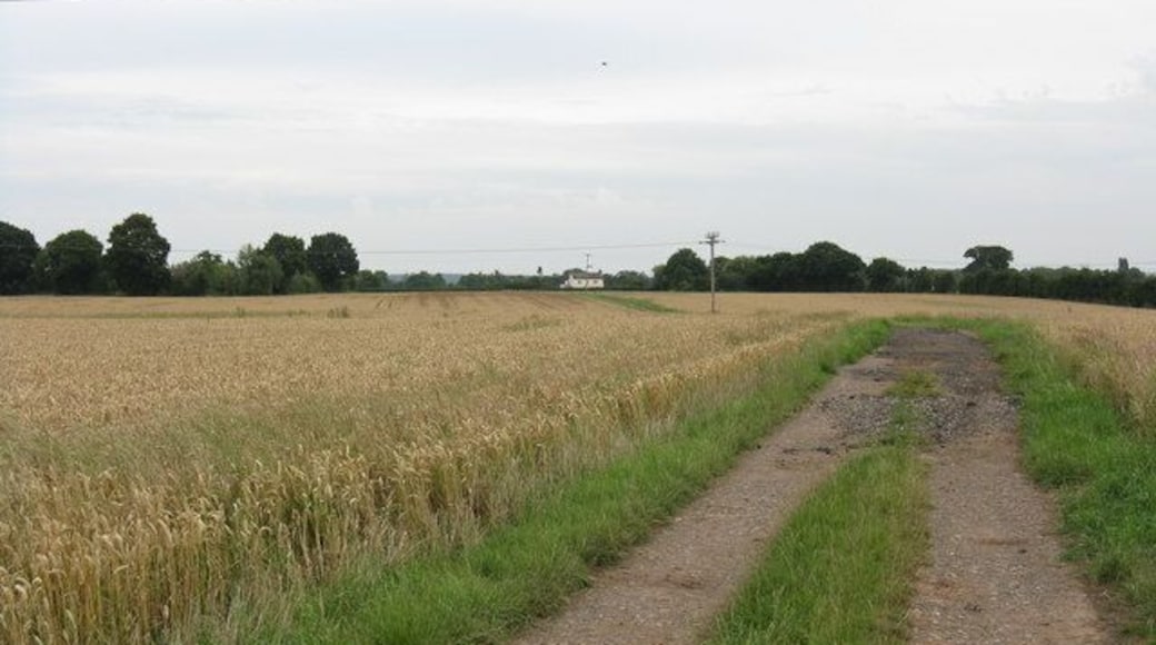 Track across the fields