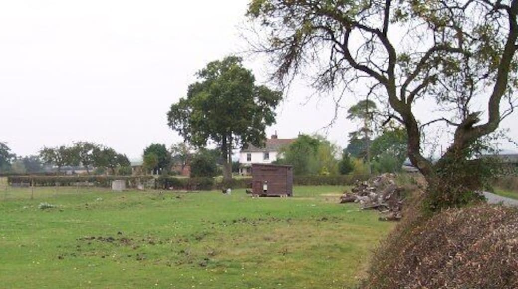 Greenstreet Farm. Looking NW. Free range hens with a large field still manage to escape into the road.