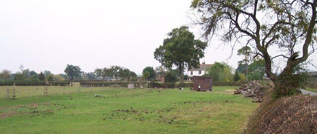 A rural landscape with a large tree, a white house, and a field.