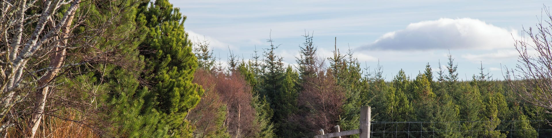 One of Britain's most isolated and remote railway stations - trains rarely stop, only on request, and it is inaccessible by road. en.wikipedia.org/wiki/Altnabreac_railway_station - Taken by me, robef (https://www.flickr.com/robef)