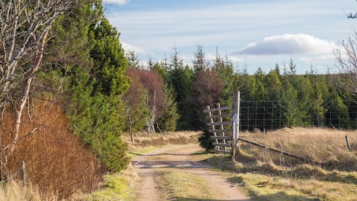 One of Britain's most isolated and remote railway stations - trains rarely stop, only on request, and it is inaccessible by road. en.wikipedia.org/wiki/Altnabreac_railway_station - Taken by me, robef (https://www.flickr.com/robef)