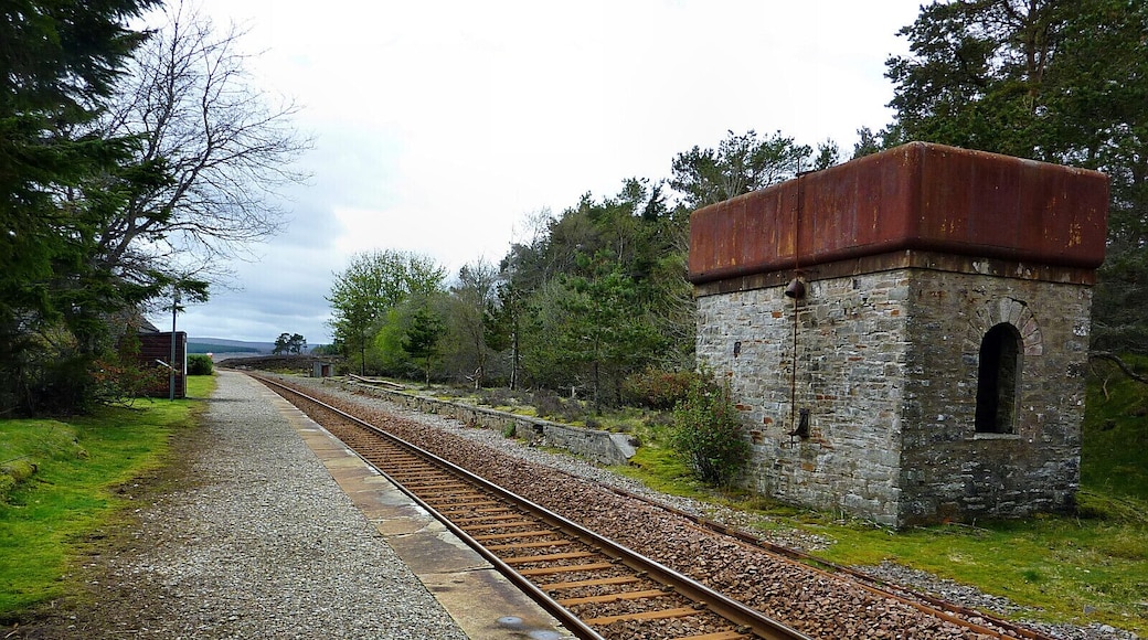 Altnabreac Station (5)