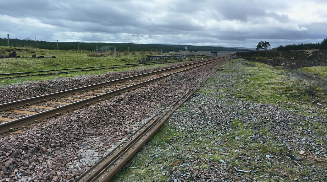 Altnabreac Station (3)