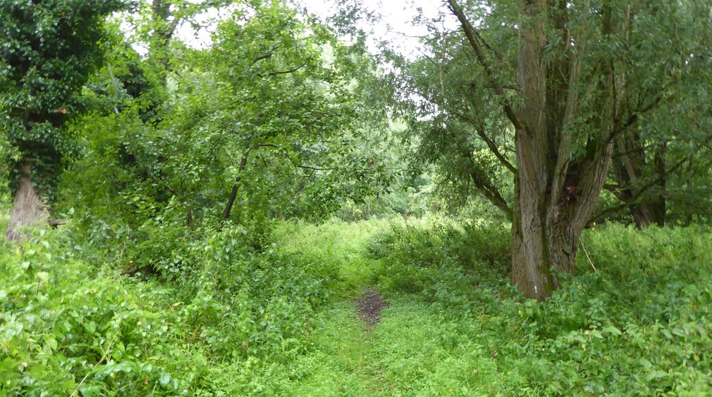 The Riverside Walk in Hadleigh, Suffolk, is a Local Nature Reserve on the west bank of the River Brett.