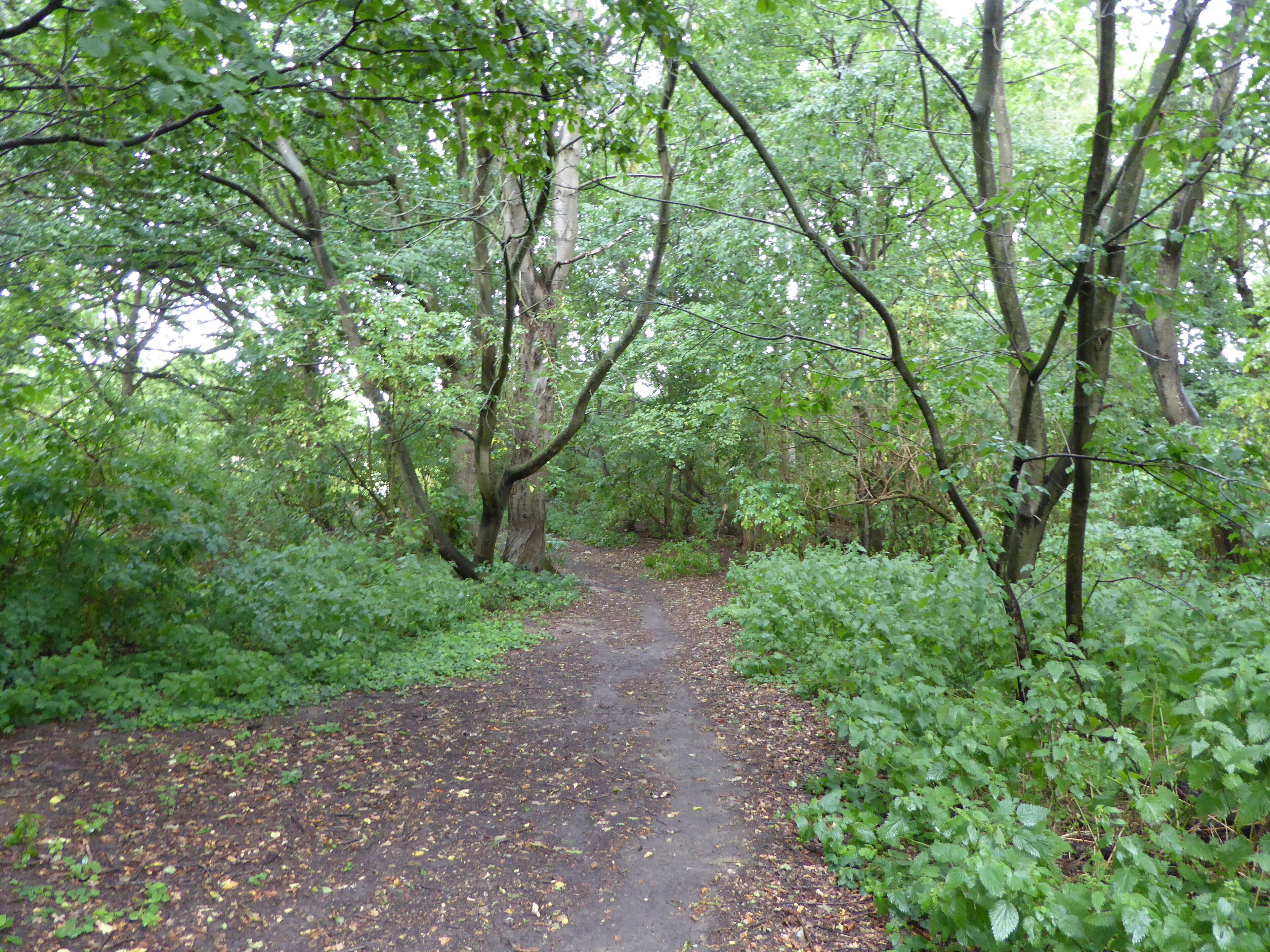 Broom Hill is a Local Nature Reserve on the western outskirts of Hadleigh in Suffolk.