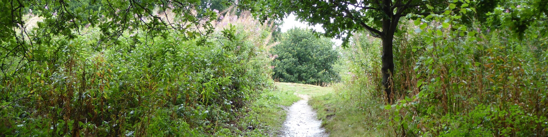 Broom Hill is a Local Nature Reserve on the western outskirts of Hadleigh in Suffolk.