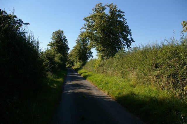 Track and tree This road is called Ravenstone Lane, and presumably once led there.