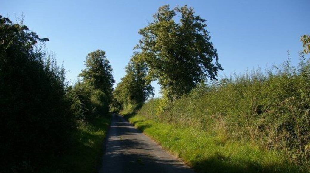 Track and tree This road is called Ravenstone Lane, and presumably once led there.