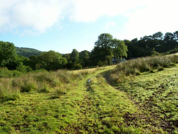 Sheep pasture Rough grazing by the Afon Meilwch.
