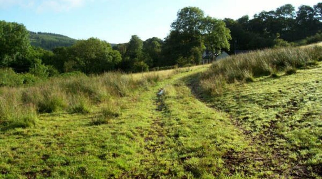 Sheep pasture Rough grazing by the Afon Meilwch.