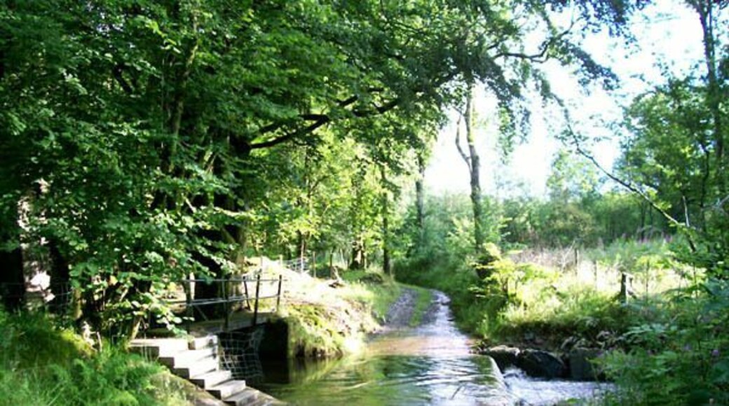 Ford A ford survives at this crossing of the Afon Meilwch.