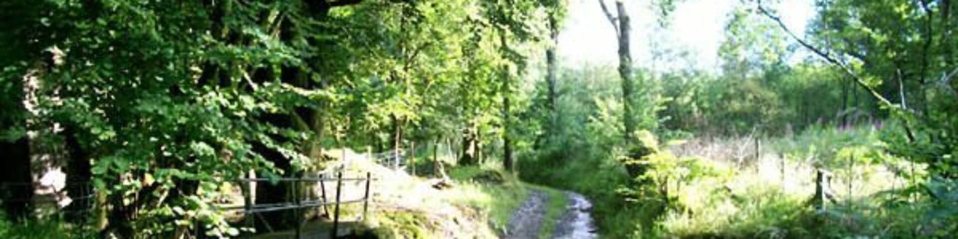 Ford A ford survives at this crossing of the Afon Meilwch.