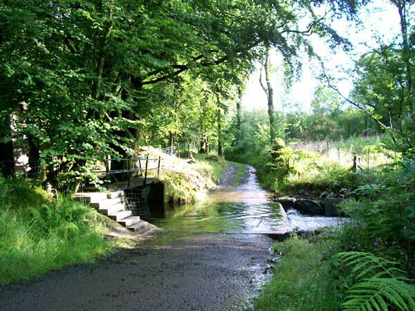 A narrow, paved path leading through a lush, green forest with a small bridge over a stream.