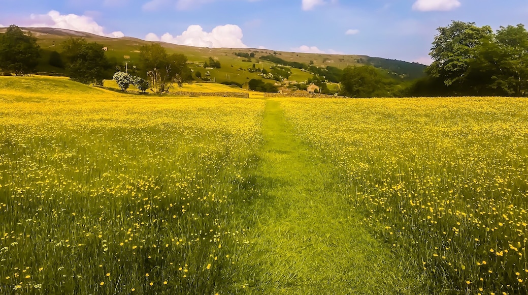 Last five miles of our hike we came across this sign said walk in single file and wow you can see why amazing find when we went slightly off route in the Glorious North Yorkshire moors#BSVBlue