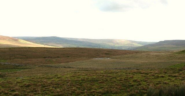 Tewit Mires Marshy area on the fellside above Satron. The wet area occurs where there is underlying shale, whilst the name suggests an area where lapwings [tewits] can be found.