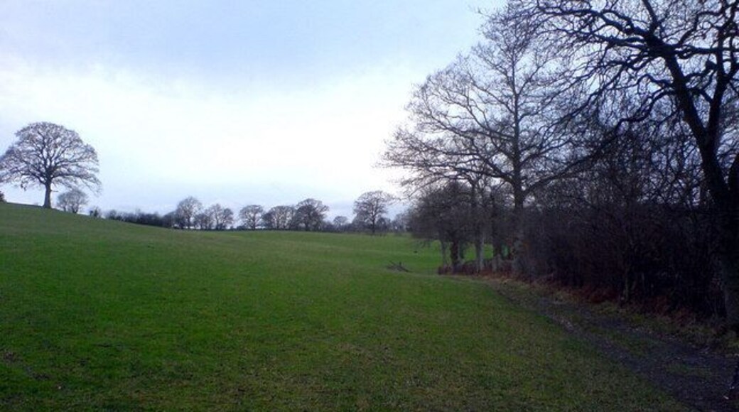 Sheep field near Yr-Eitha-Bach Sheep grazing field typical of the local area. The hedges on the 25k map have gone; the lone tree was presumably in one of them.
