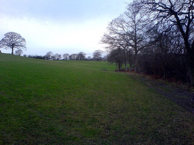 A grassy field with a path and leafless trees.