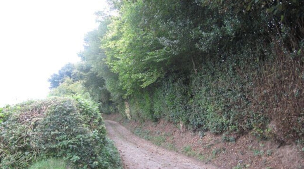 Farm track off B4392