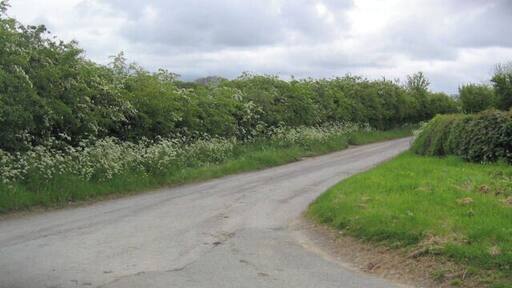 Farm entrance near Trefnant