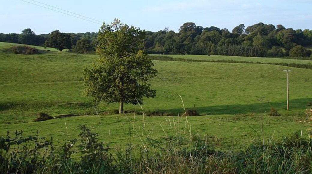 Pasture near Moel-y-garth