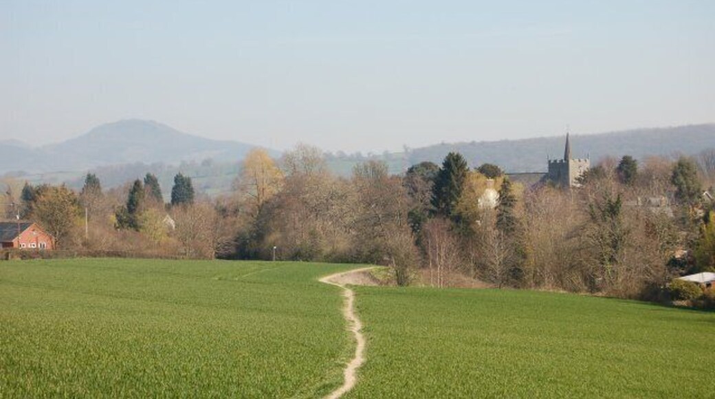 Guilsfield from the South west View of Guilsfield from the fields to the south west. The church can be seen right centre behind the trees