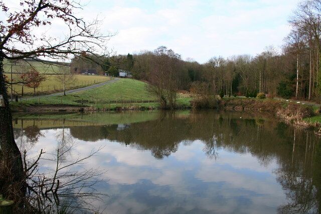 Man made fishing pond Wildlife habitat created by a local farmer