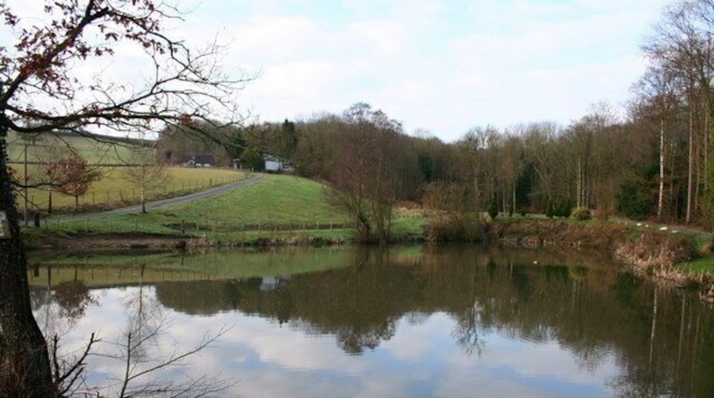 Man made fishing pond Wildlife habitat created by a local farmer